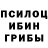 Псилоцибиновые грибы MAGIC MUSHROOMS Secret Region