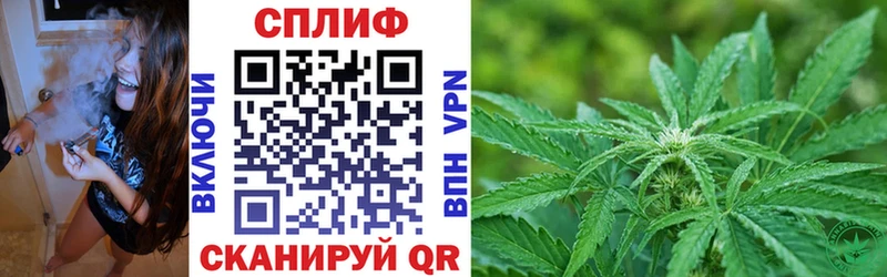 Конопля индика  Шумиха 